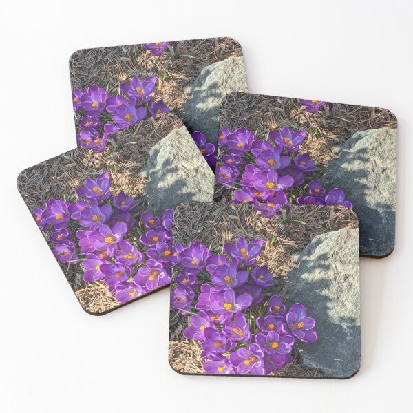 Item preview, Spring arrived designed and sold by CsillaRosales.