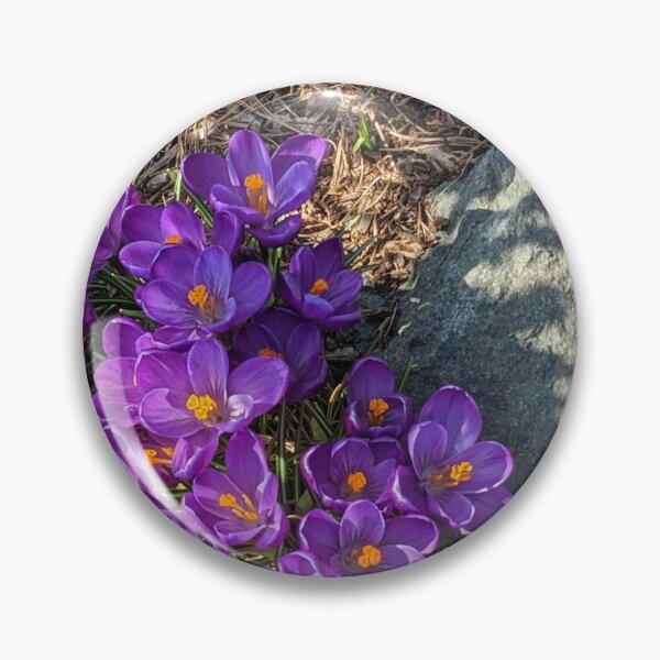 Item preview, Spring arrived designed and sold by CsillaRosales.