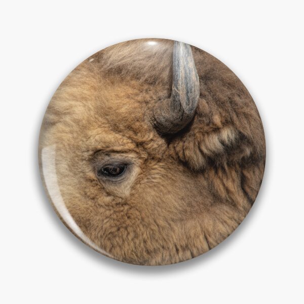 Item preview, White Buffalo Close Up designed and sold by Elisabeth Lucas.