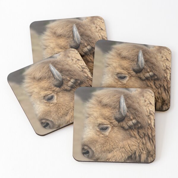 Item preview, White Buffalo Close Up designed and sold by Elisabeth Lucas.