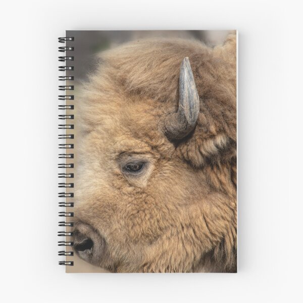 Item preview, White Buffalo Close Up designed and sold by Elisabeth Lucas.