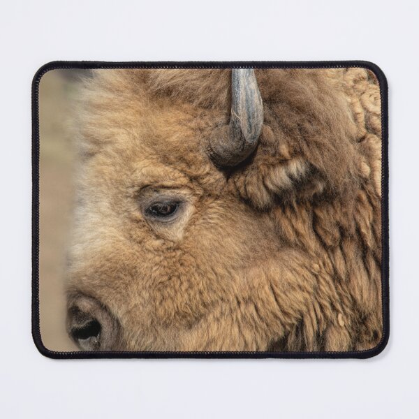 Item preview, White Buffalo Close Up designed and sold by Elisabeth Lucas.