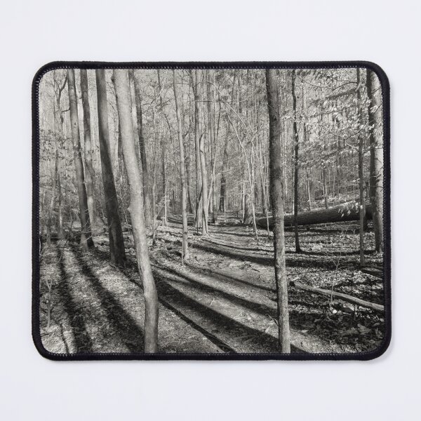 Item preview, Long Shadows in the Forest designed and sold by Craig Kauzmann.