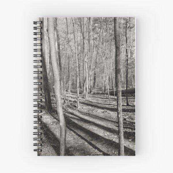 Item preview, Long Shadows in the Forest designed and sold by Craig Kauzmann.
