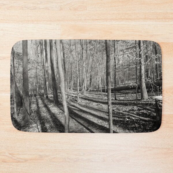 Item preview, Long Shadows in the Forest designed and sold by Craig Kauzmann.