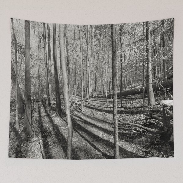 Item preview, Long Shadows in the Forest designed and sold by Craig Kauzmann.