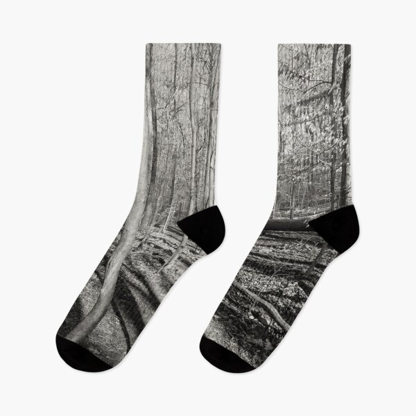 Item preview, Long Shadows in the Forest designed and sold by Craig Kauzmann.