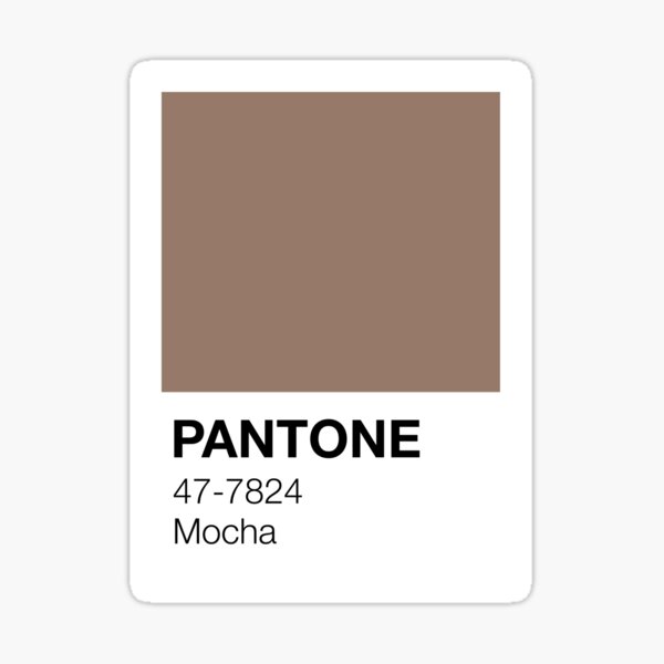 Pantone brown beige iPad Case & Skin for Sale by papillon-insula