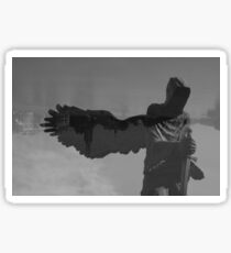 pinhole photography Sticker