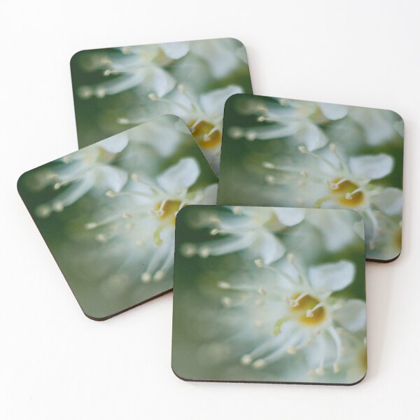 Item preview, Prunus laurocerasus designed and sold by Gabriele Maurus.