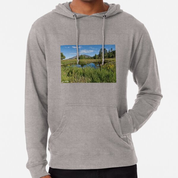 Mountains Reflected in a Pond Lightweight Hoodie