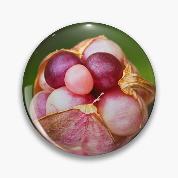 Item preview, Lily Seed Pod Pink Jewels  designed and sold by Joy Watson - Natural Light Photography .