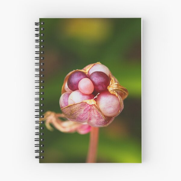 Item preview, Lily Seed Pod Rosa Joyas designed and sold by Joy Watson - Natural Light Photography .