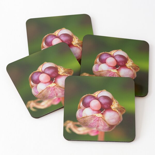 Item preview, Lily Seed Pod Pink Jewels  designed and sold by Joy Watson - Natural Light Photography .