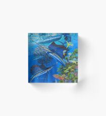 Sailfish Reef Acrylic Block