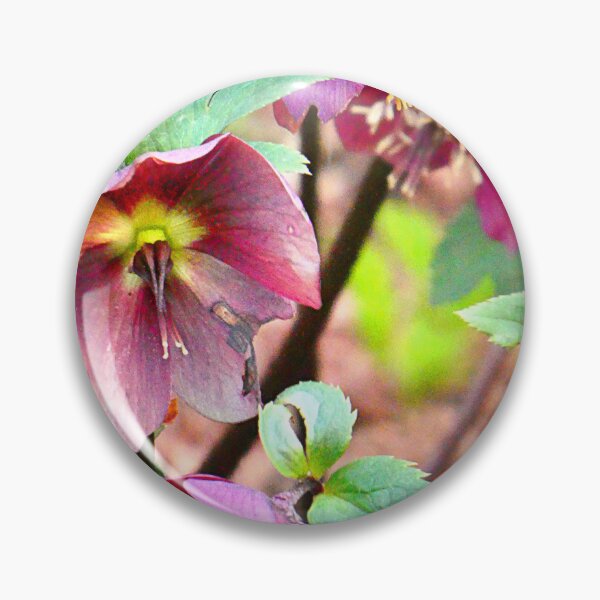 Item preview, Helleborus  designed and sold by angel1.