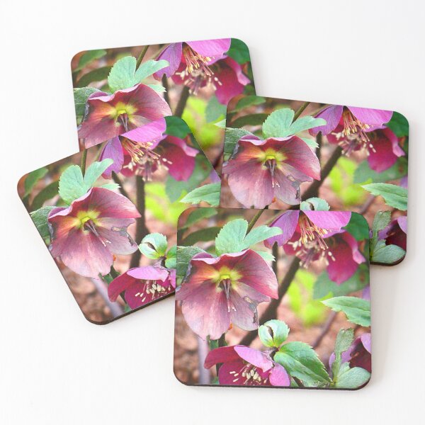Item preview, Helleborus  designed and sold by angel1.