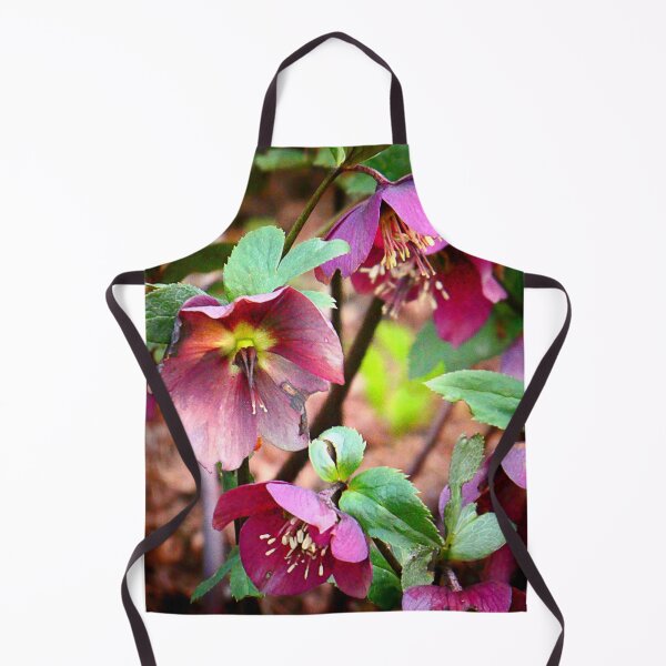 Item preview, Helleborus  designed and sold by angel1.