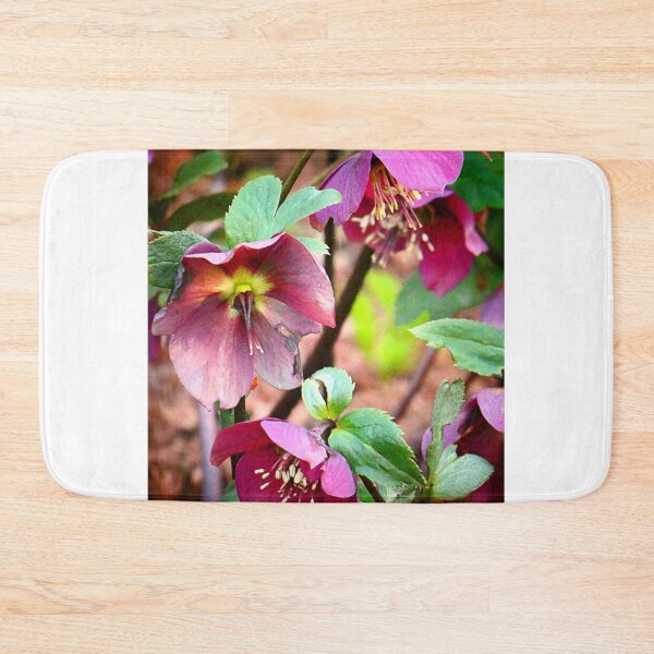 Item preview, Helleborus  designed and sold by angel1.