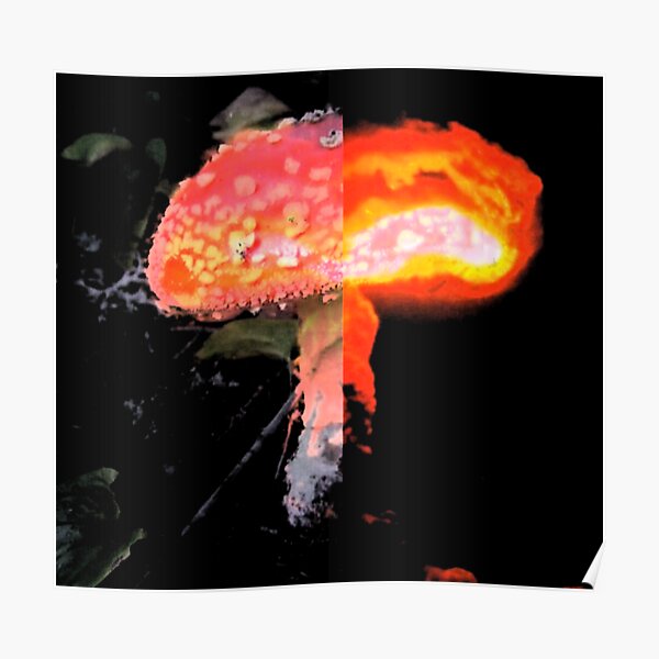 Nuclear Mushroom Poster