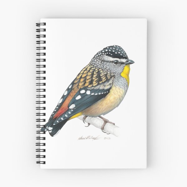 Item preview, Spotted Pardalote designed and sold by LucaMilioneArt.