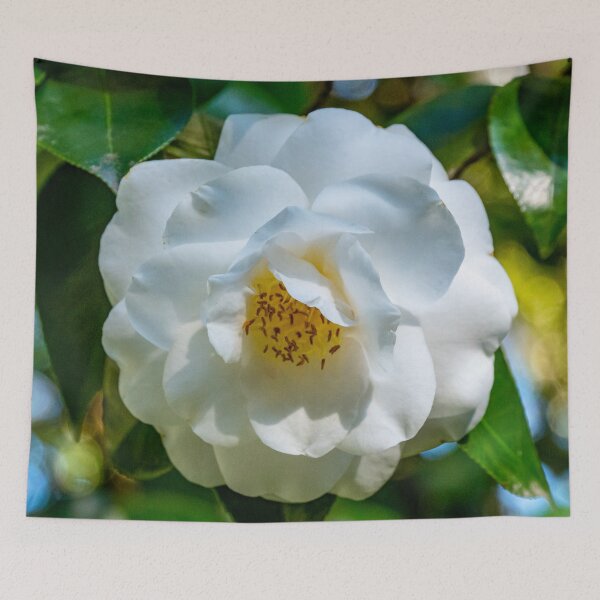 Item preview, White Camellia designed and sold by Ross.A.Campbell.
