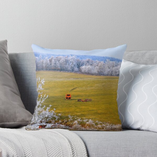 Item preview, Out To Pasture,  Brannon Mt. NW Arkansas, USA  designed and sold by NatureGreeting Cards ©ccwri.