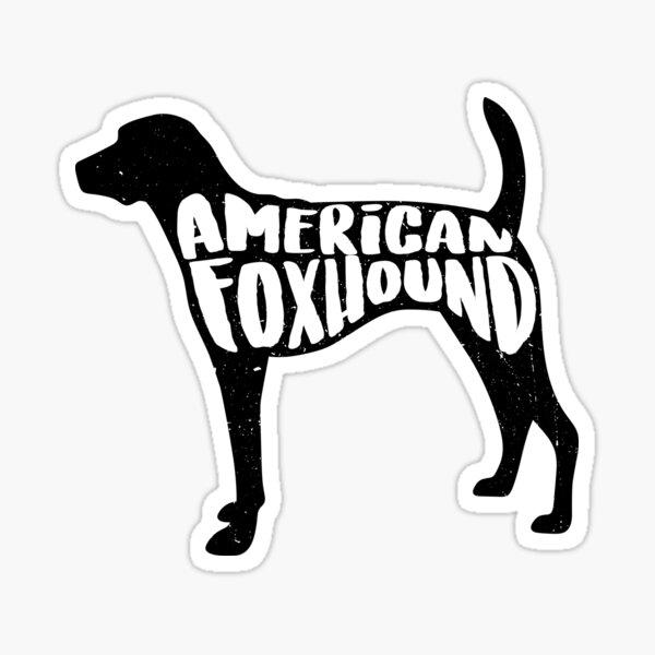 Tôle Plaque XXL Chiens American Foxhound 