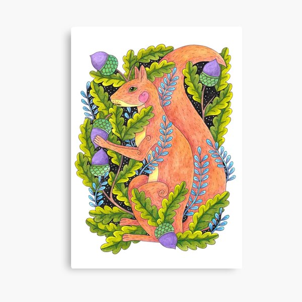 Squirrel Canvas Print