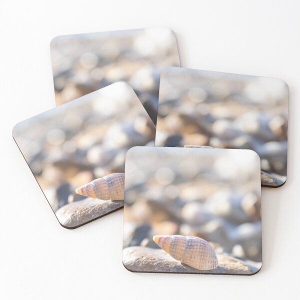 Item preview, A shell on a rock  designed and sold by Camille Bouchard.