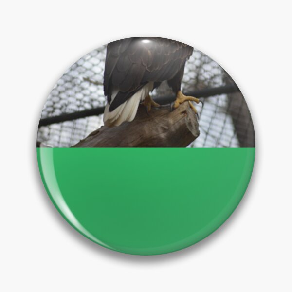 Item preview, Rescued Bald Eagle Sticker designed and sold by YerayBonilla.