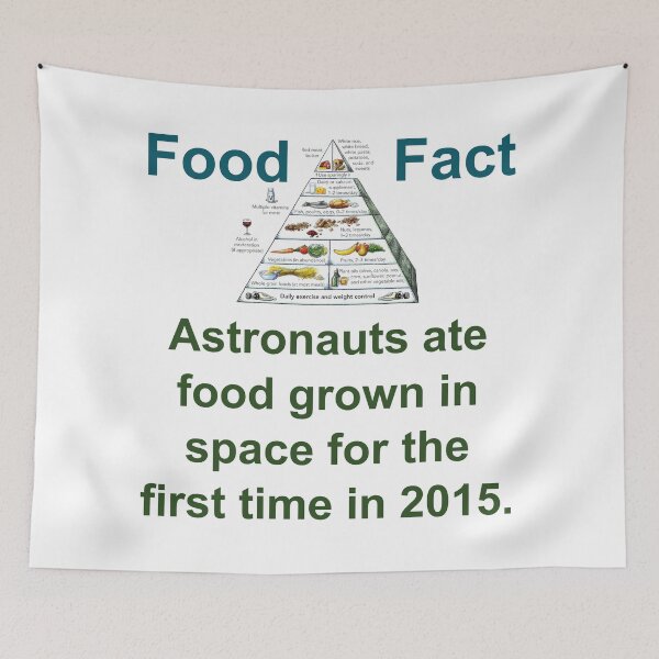 Item preview, Astronauts Ate Food Grown In Space - Food Fact designed and sold by CrankyOldDude.