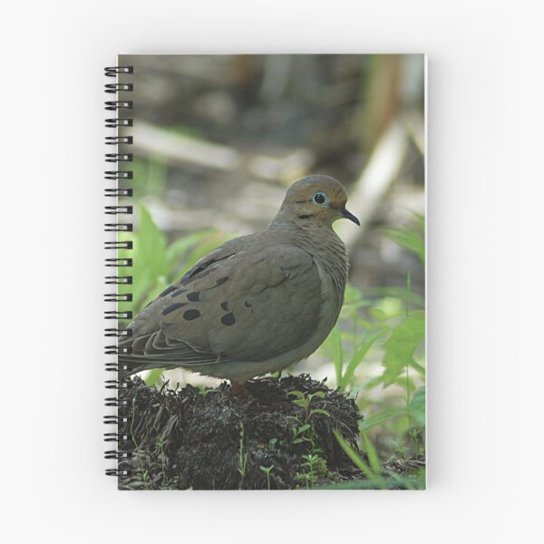 Item preview, Mourning Dove designed and sold by HSIMONIAN.