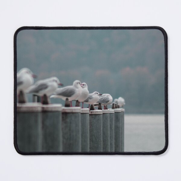 Item preview, seagull parade designed and sold by heuels.