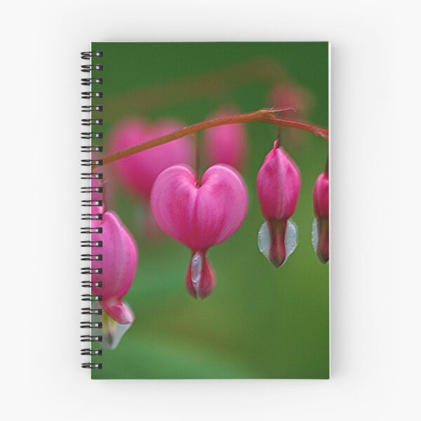 Item preview, Bleeding Heart Flower designed and sold by HSIMONIAN.