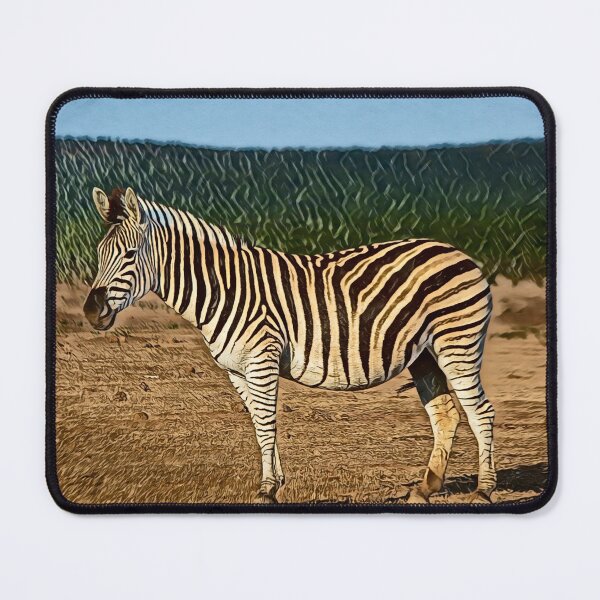 Item preview, Burchell's zebras, Addo Elephant National Park, South Africa designed and sold by Photopat.