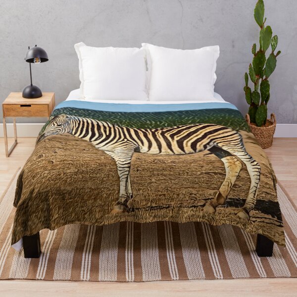 Item preview, Burchell's zebras, Addo Elephant National Park, South Africa designed and sold by Photopat.