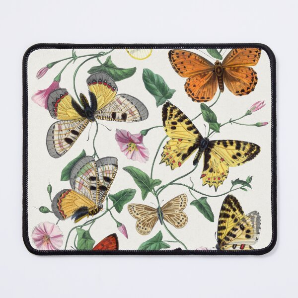 Item preview, Butterflies and Moths: A Timeless Beauty Revived Through Digital Enhancement designed and sold by EmeraldeaArt.
