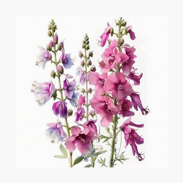 Item preview, Larkspur Flowers  designed and sold by Vanover Designs.