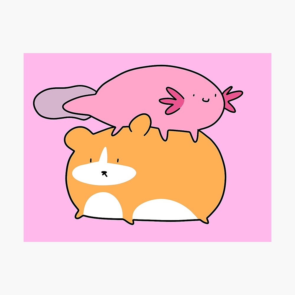 axolotl pusheen