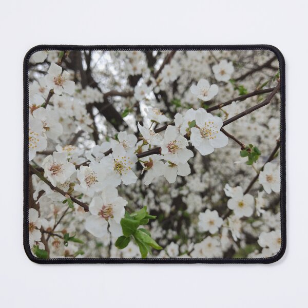 Item preview, Spring white magical tree designed and sold by nelllkata.