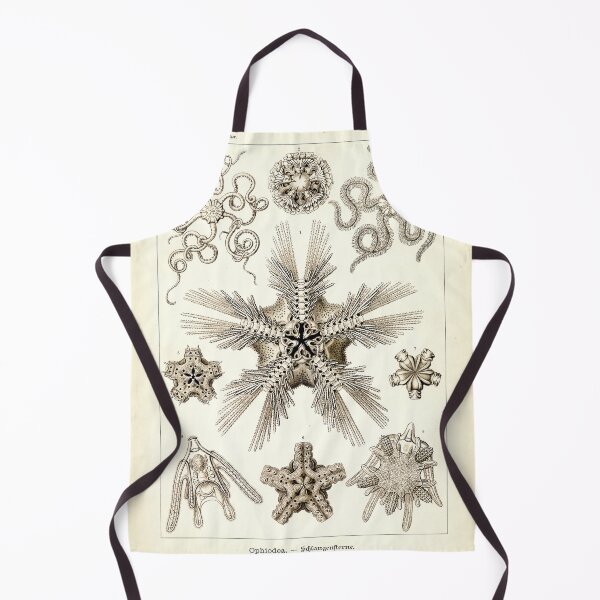 Item preview, Ernst Haeckel - Kunstformen der Natur (1904) Ophiodea designed and sold by Gin  Neko.