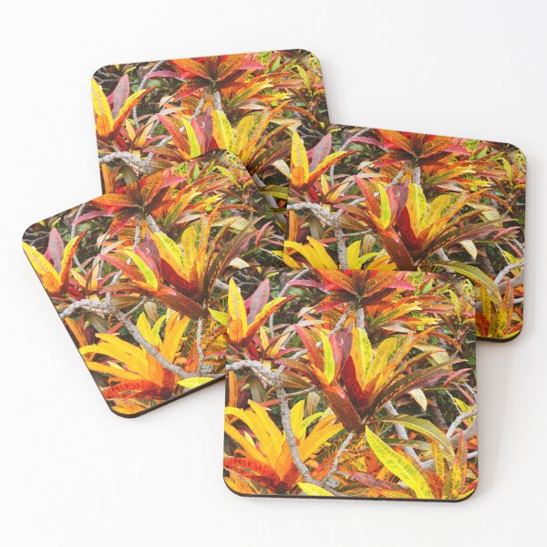 Item preview, Autumn colours designed and sold by VelesPhoto.