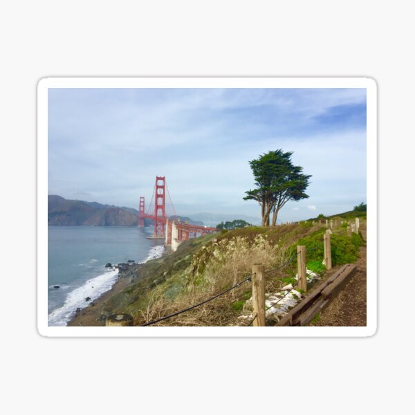 Golden Gate Bridge With Tree Sticker