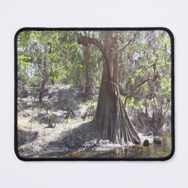 Item preview, Florida tree designed and sold by reformedfruit.
