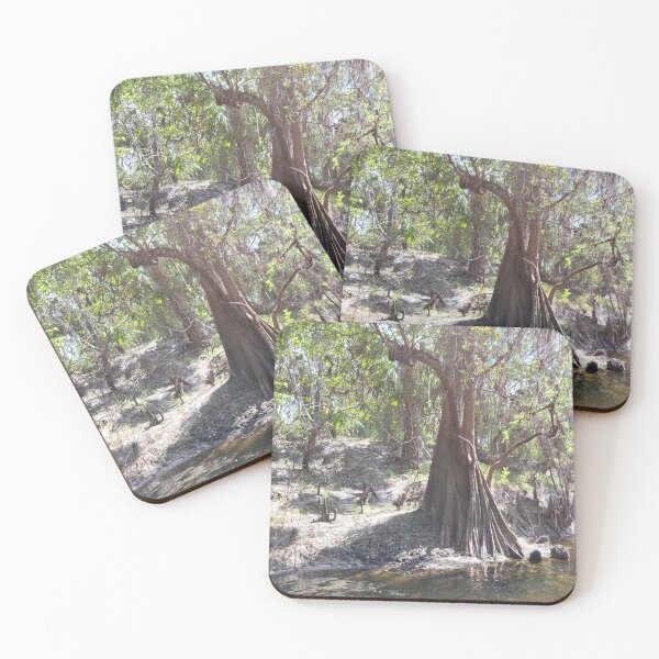 Item preview, Florida tree designed and sold by reformedfruit.