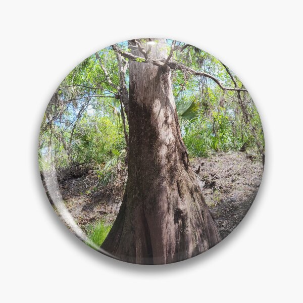 Item preview, Florida tree designed and sold by reformedfruit.