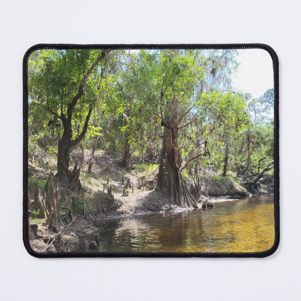 Item preview, Florida creek designed and sold by reformedfruit.