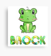 Brock Frog Metal Print