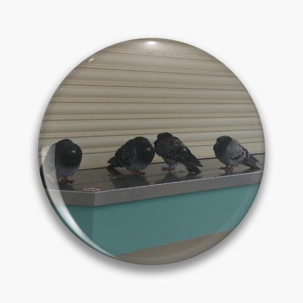 Item preview, Five Pigeons on a Shelf designed and sold by ashleywilks.